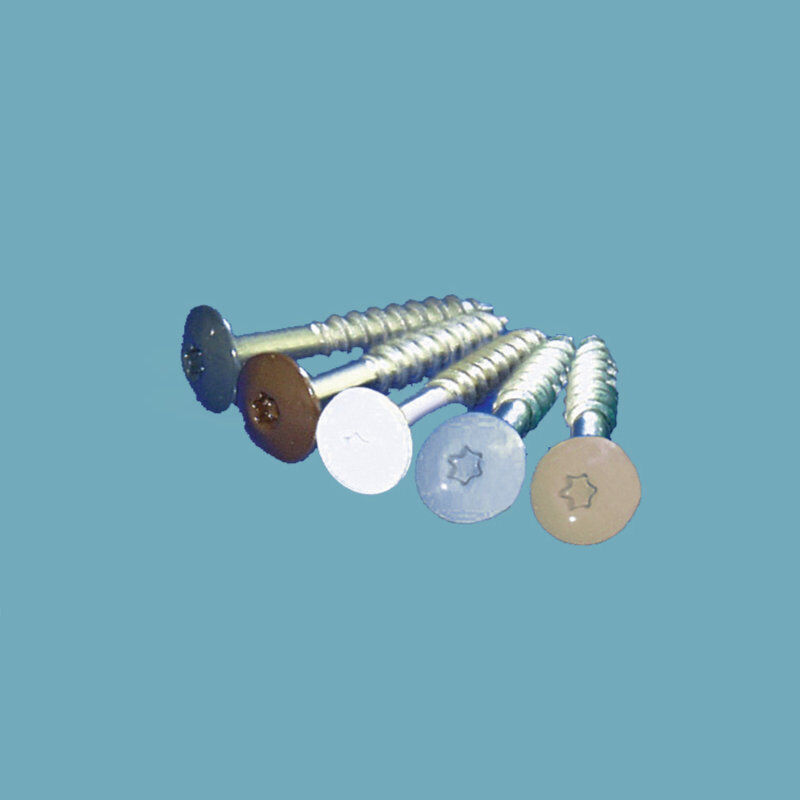V4A Montageschraube f. HPL Schichtstoffplatten 5,5 x 25 mm 100 St/Pack 1 V4A Montageschraube f. HPL Schichtstoffplatten 5,5 x 25 mm 100 St/Pack