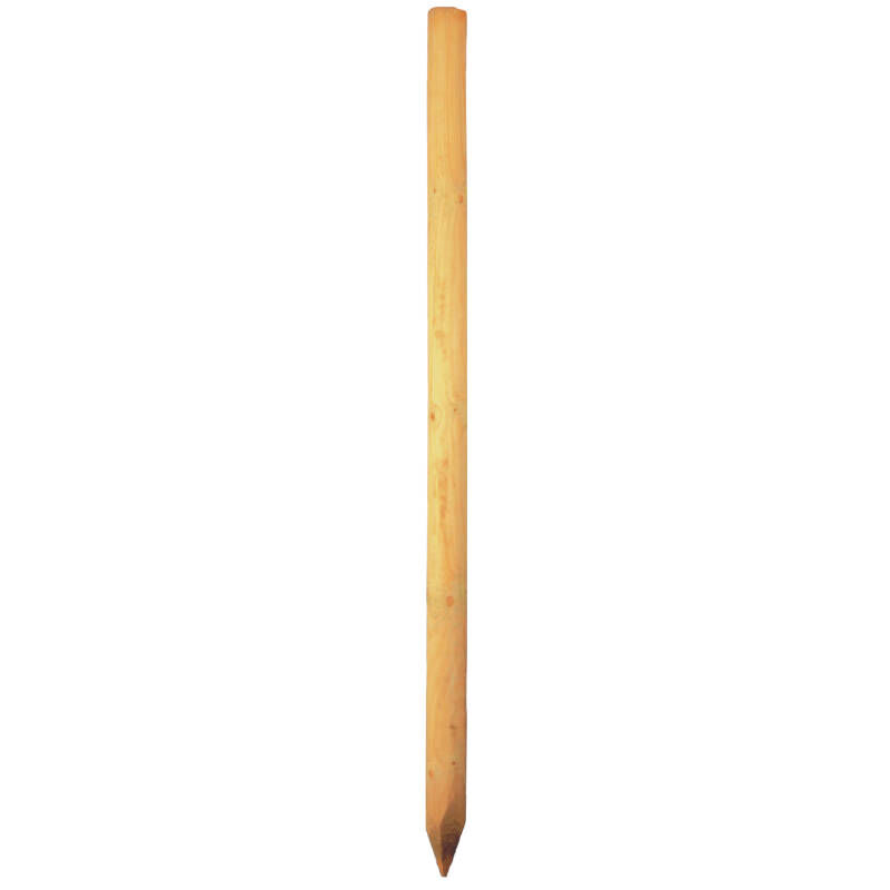 Baumpfähle 1 Baumpfähle